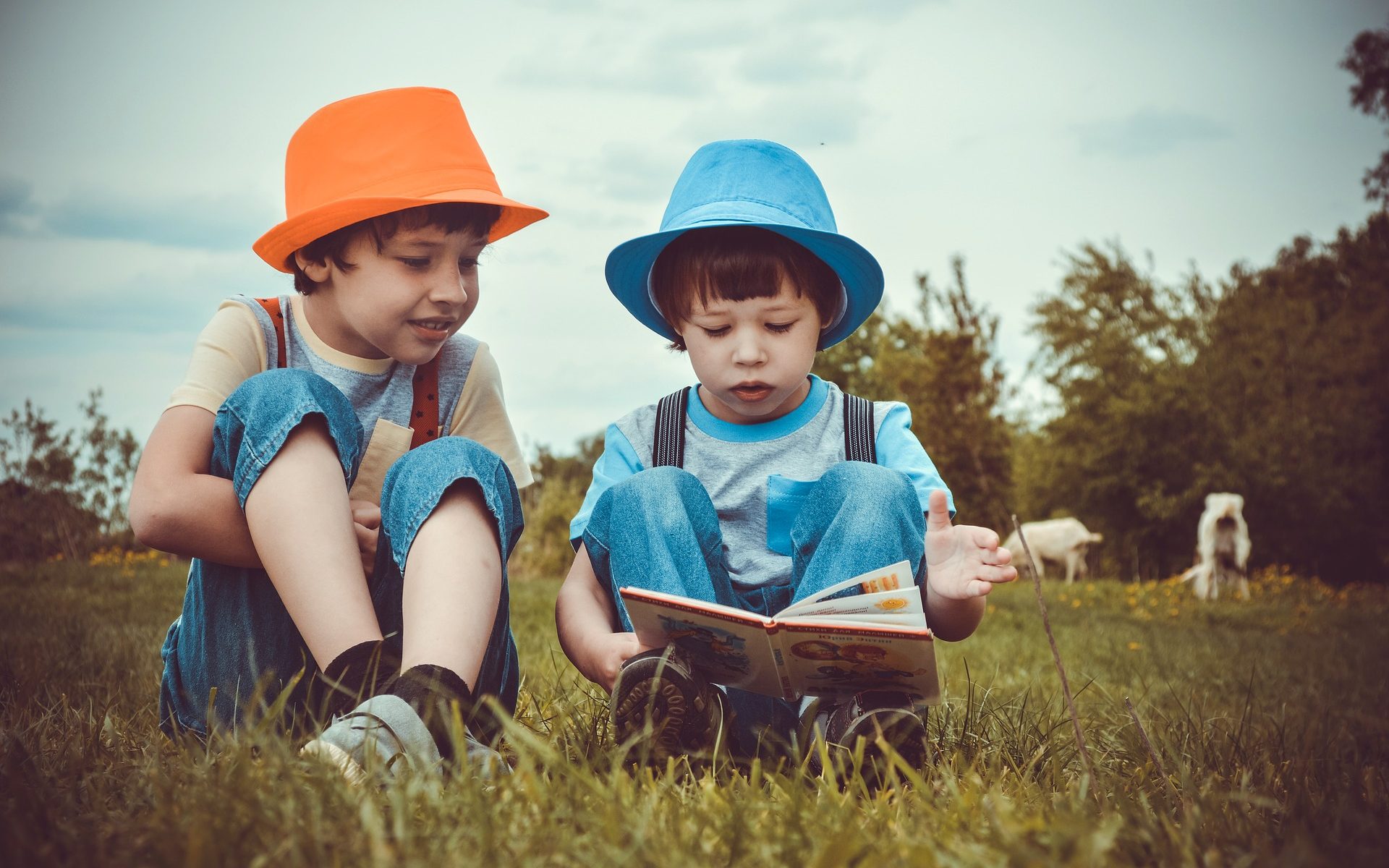 Boys reading a book